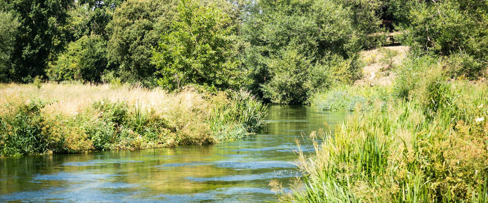 Fluss_2